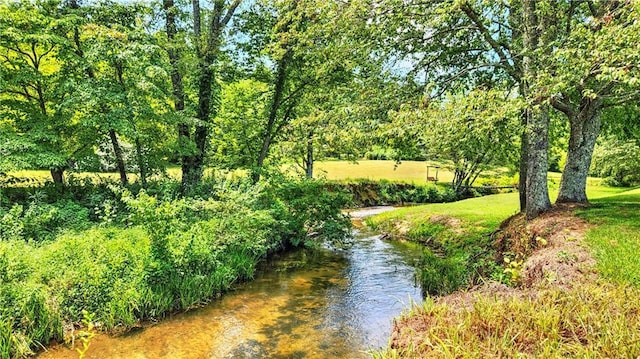 view of property's community with a lawn