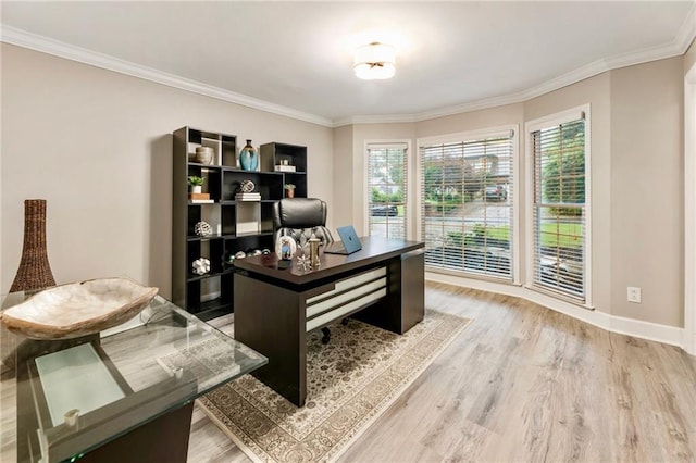 910 Kings Arms Way, Johns Creek, GA 30022 - office with light wood-type flooring and crown molding