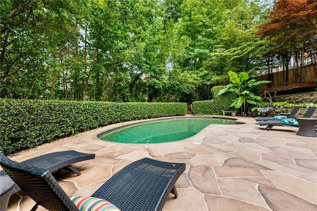 910 Kings Arms Way, Johns Creek, GA 30022 - view of swimming pool with a patio area