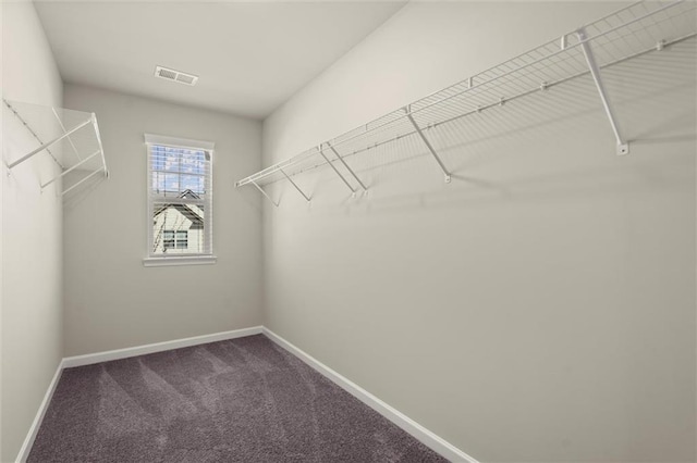 spacious closet with carpet floors and visible vents