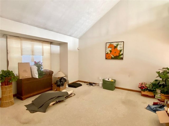 exercise room with carpet flooring and lofted ceiling