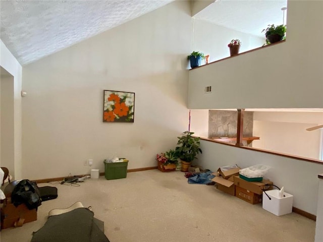 interior space with light carpet, a textured ceiling, and high vaulted ceiling