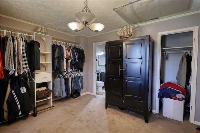 744 Hampton Locust Grove Rd, Hampton, GA 30228 - walk in closet with light carpet