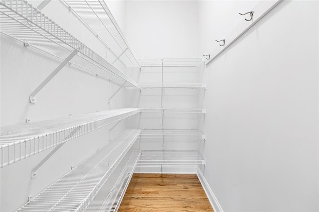 walk in closet featuring wood-type flooring