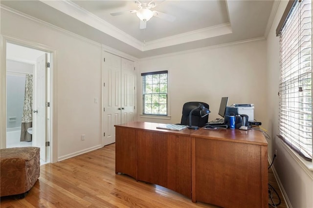 135 Stone Orchard Ct, Milton, GA 30004 - home office with light wood-style floors, ceiling fan, a tray ceiling, baseboards, and ornamental molding