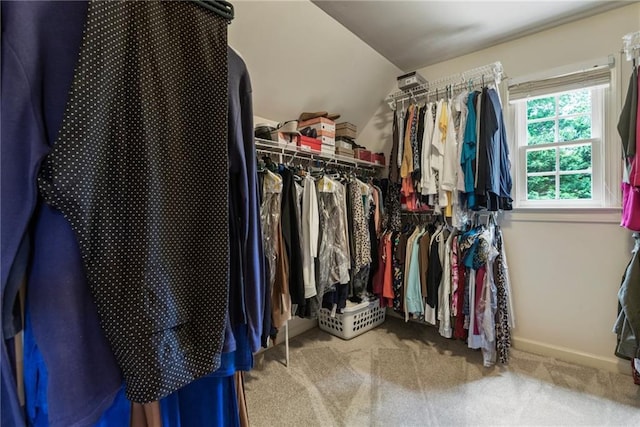 135 Stone Orchard Ct, Milton, GA 30004 - walk in closet with carpet floors and vaulted ceiling