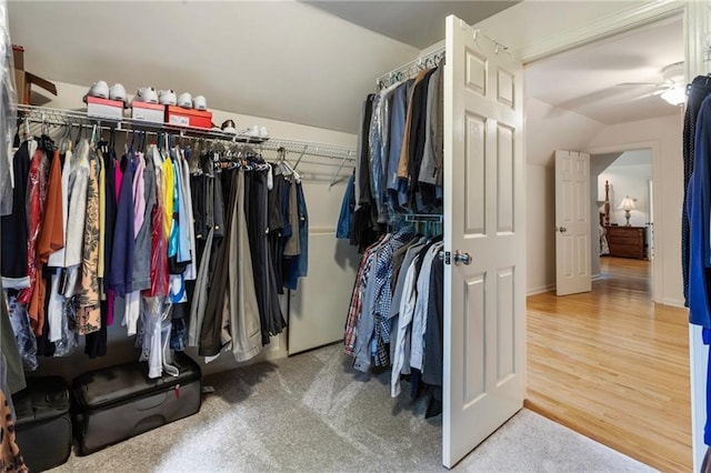 135 Stone Orchard Ct, Milton, GA 30004 - walk in closet with vaulted ceiling, ceiling fan, and wood finished floors