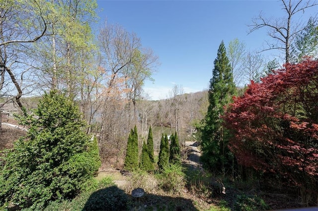 view of landscape