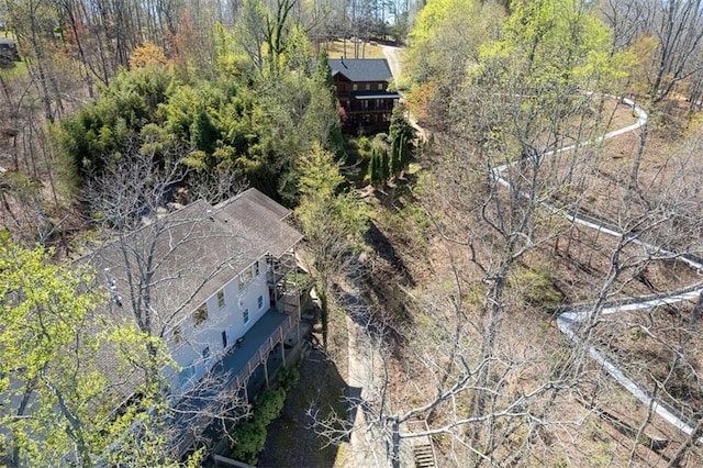aerial view