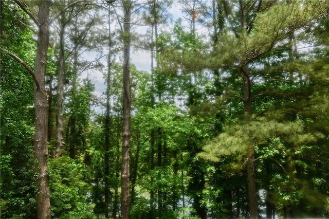 3320 Woodleaf Way, Marietta, GA 30062 - view of woods