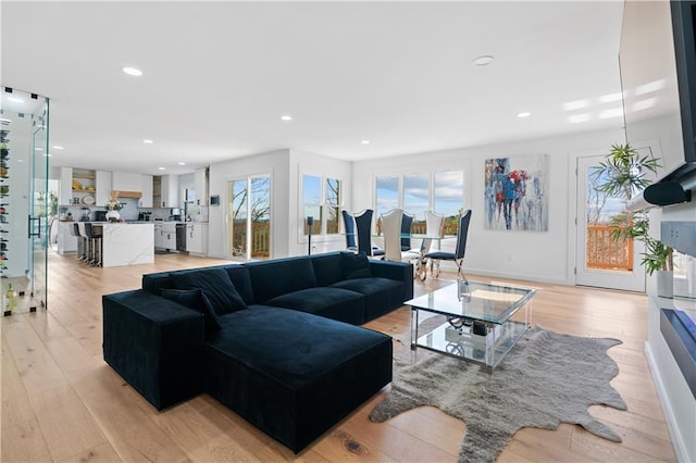 living room featuring light hardwood / wood-style flooring