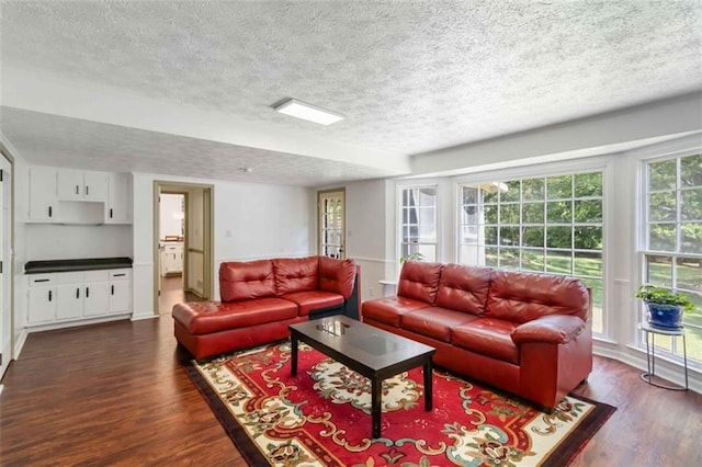 living area featuring a textured ceiling and dark wood-style floors