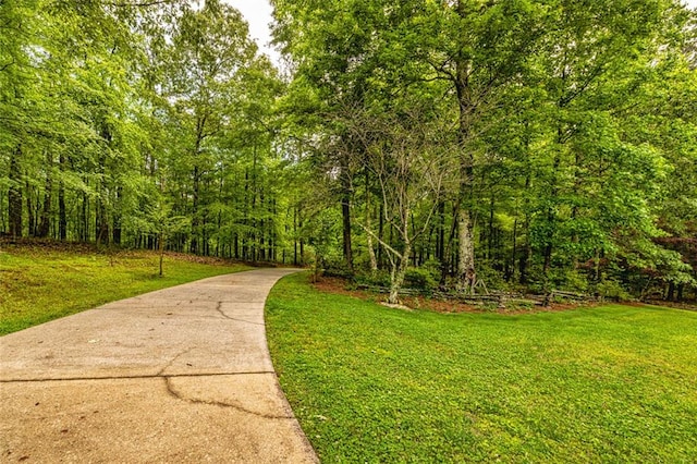 130 Brooklet Way, Brooks, GA 30205 - view of home's community featuring concrete driveway, a lawn, and a wooded view