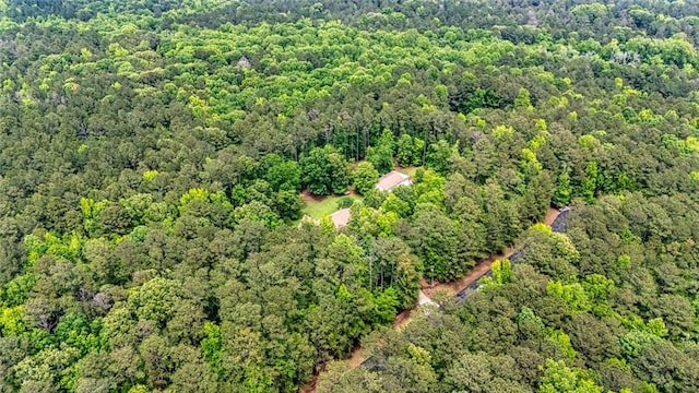 130 Brooklet Way, Brooks, GA 30205 - drone / aerial view of a forest
