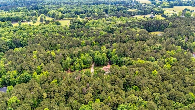 130 Brooklet Way, Brooks, GA 30205 - bird's eye view of a heavily wooded area