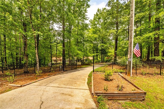 130 Brooklet Way, Brooks, GA 30205 - surrounding community featuring driveway