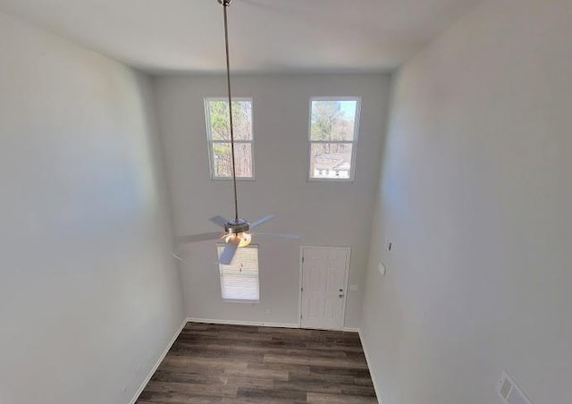 entryway featuring wood finished floors and ceiling fan