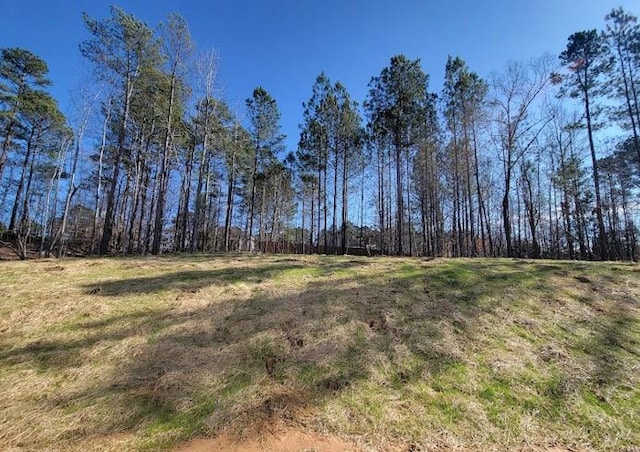 view of undeveloped land