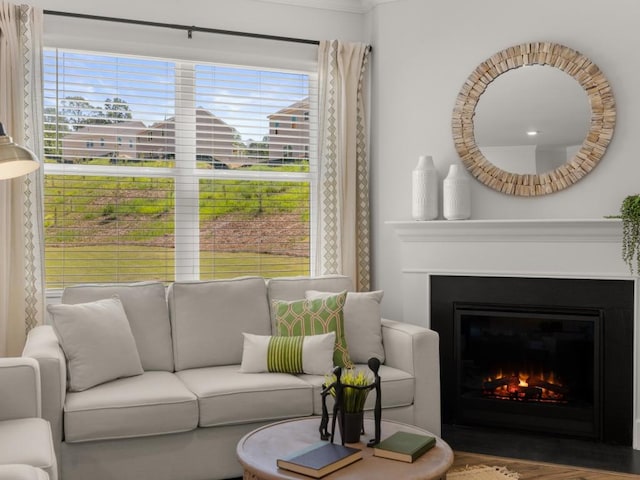 living room featuring hardwood / wood-style flooring