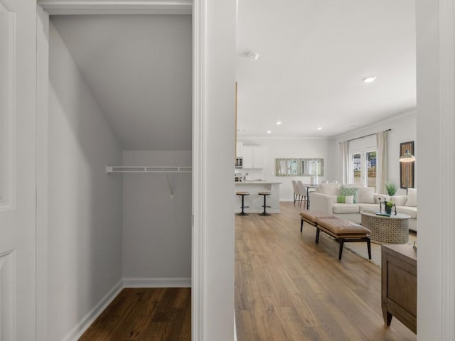 walk in closet featuring wood-type flooring