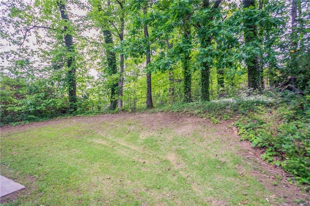 5795 Deerfield Trl, Atlanta, GA 30349 - view of green lawn featuring a wooded view