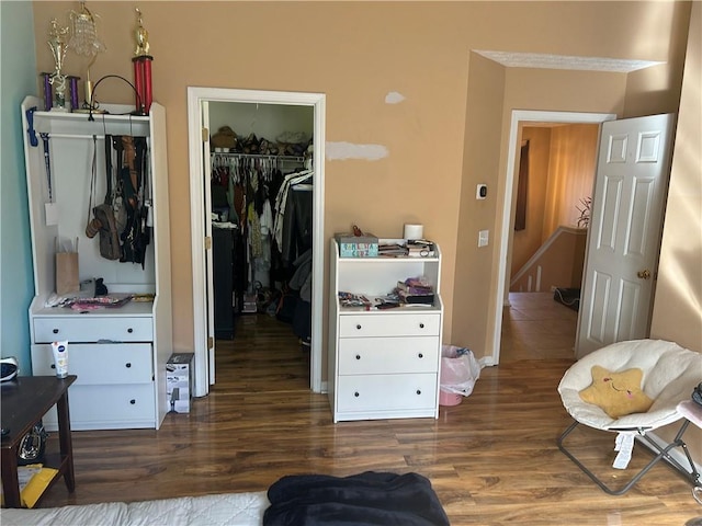 interior space with a closet, a spacious closet, and wood finished floors