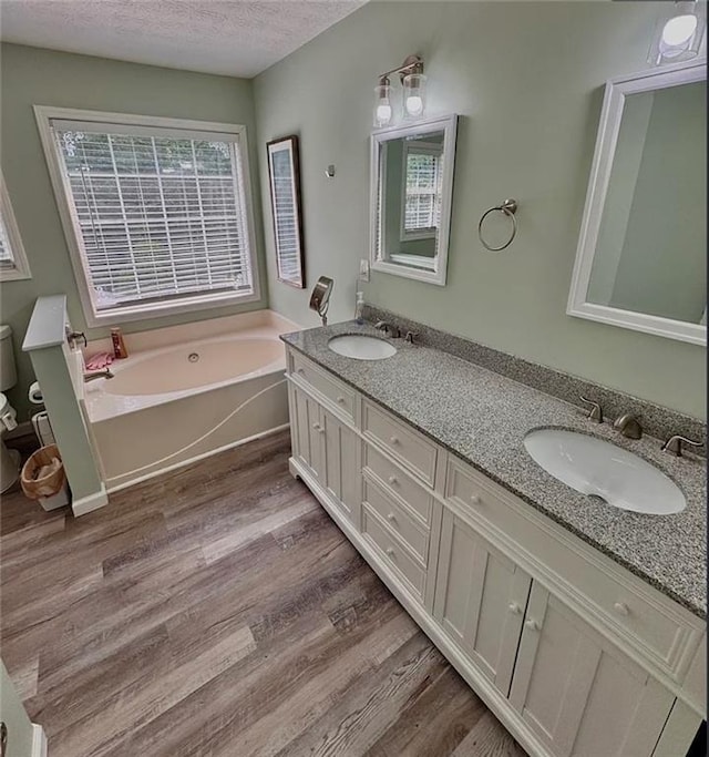 5624 Ryan Way, Flowery Branch, GA 30542 - full bath with wood finished floors, double vanity, a garden tub, and a textured ceiling