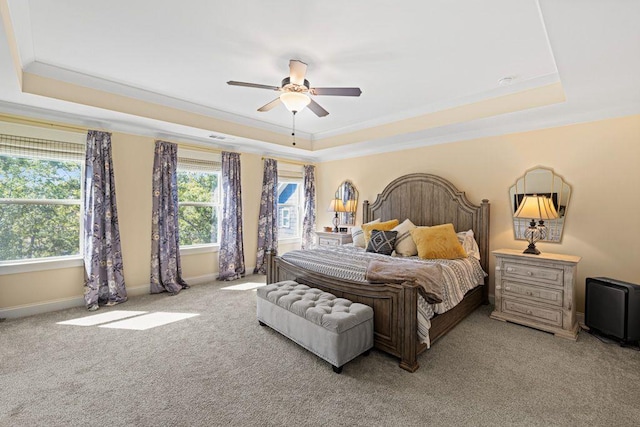 bedroom featuring multiple windows, a raised ceiling, and light colored carpet