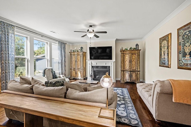 living room with visible vents, ornamental molding, a ceiling fan, a glass covered fireplace, and dark wood-style flooring