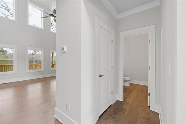 171 Blue Rider Trl, Hoschton, GA 30548 - hallway with baseboards and wood finished floors