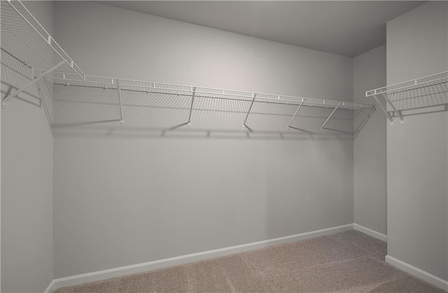 237 Chiswick Loop, Stockbridge, GA 30281 - walk in closet featuring carpet floors