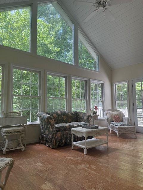 408 Hasty Trl, Canton, GA 30115 - sunroom featuring high vaulted ceiling, wood finished floors, and plenty of natural light