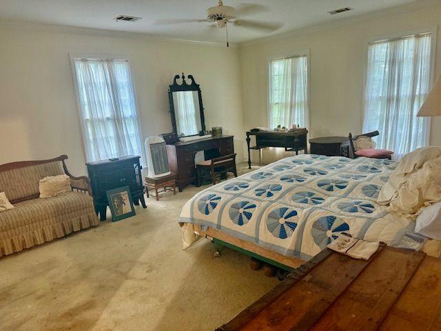 408 Hasty Trl, Canton, GA 30115 - carpeted bedroom featuring crown molding and a ceiling fan