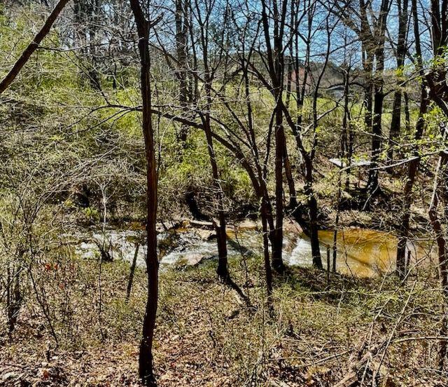 408 Hasty Trl, Canton, GA 30115 - view of nature