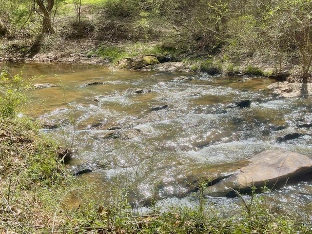 408 Hasty Trl, Canton, GA 30115 - view of local wilderness
