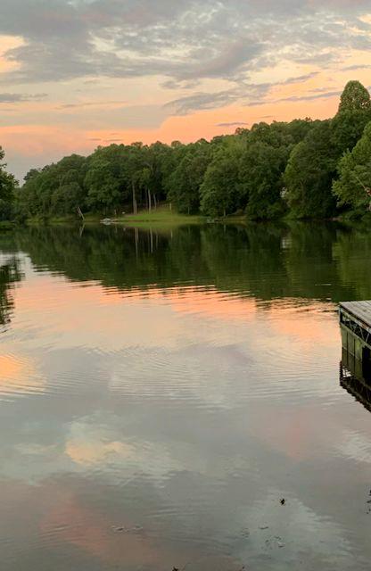 408 Hasty Trl, Canton, GA 30115 - water view featuring a forest