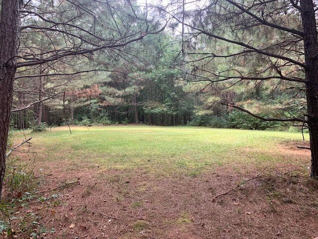 408 Hasty Trl, Canton, GA 30115 - view of grassy yard featuring a forest view