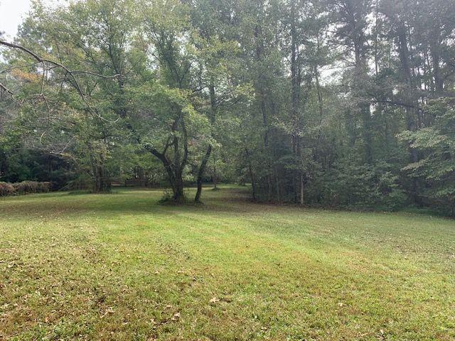 408 Hasty Trl, Canton, GA 30115 - view of grassy yard with a forest view