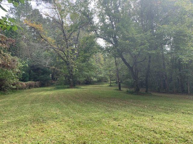 408 Hasty Trl, Canton, GA 30115 - view of grassy yard with a wooded view