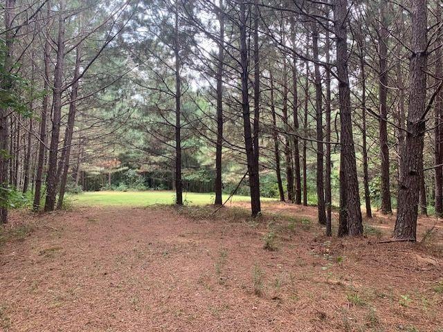 408 Hasty Trl, Canton, GA 30115 - view of wooded area