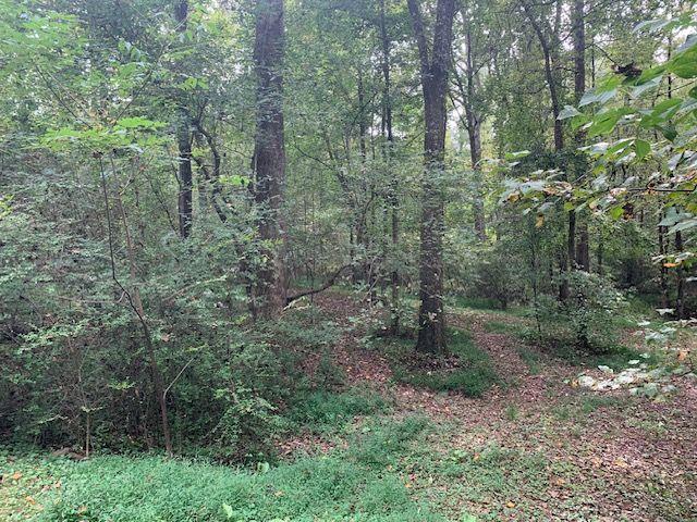 408 Hasty Trl, Canton, GA 30115 - view of wooded area