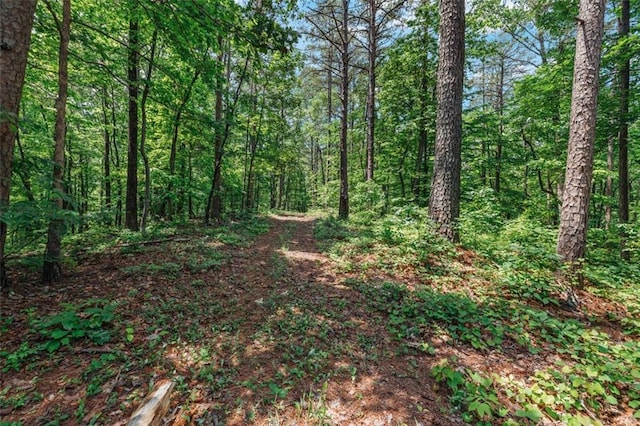 1607 Gold Mine Rd, Dallas, GA 30157