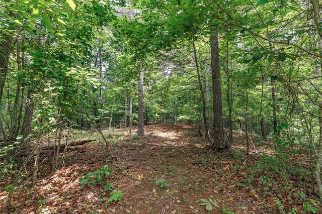 1607 Gold Mine Rd, Dallas, GA 30157
