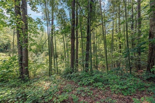 1607 Gold Mine Rd, Dallas, GA 30157