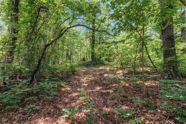 1607 Gold Mine Rd, Dallas, GA 30157