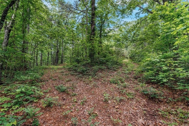 1607 Gold Mine Rd, Dallas, GA 30157