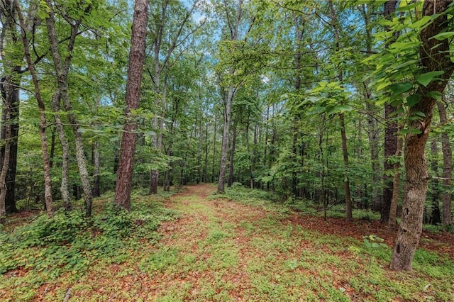 1607 Gold Mine Rd, Dallas, GA 30157