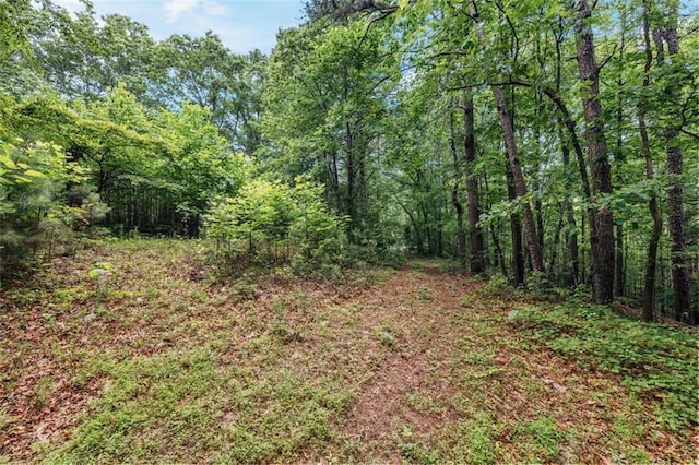 1607 Gold Mine Rd, Dallas, GA 30157