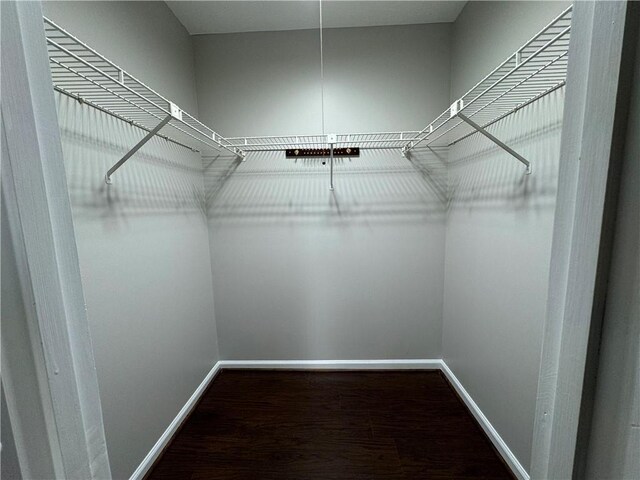 spacious closet with hardwood / wood-style floors