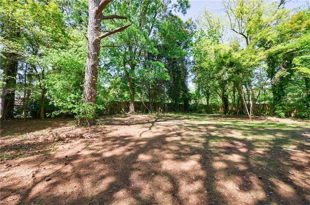 5287 Chantilly Ter, Atlanta, GA 30349 - view of yard featuring fence